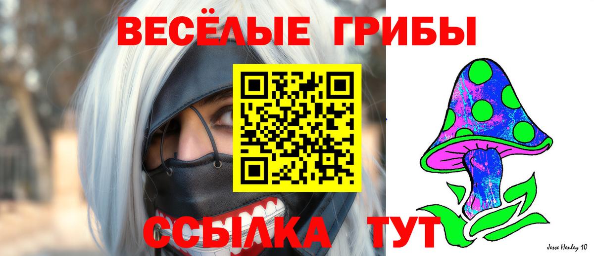 Псилоцибиновые грибы Psilocybine cubensis Канаш